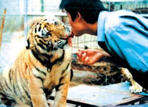 动物园老虎试图越狱，工作人员做戏枪毙假老虎，结果把它吓坏了！__财经头条