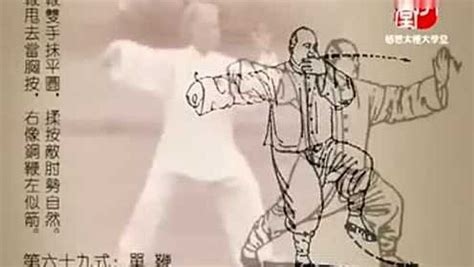 杨澄甫 扎西 传统杨式太极拳85式
