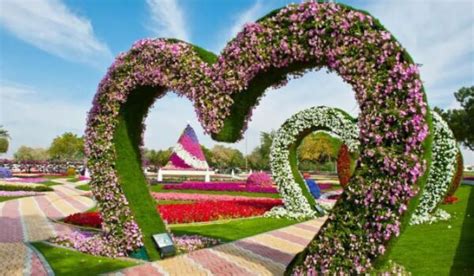 中国花卉园艺展将于明年4月回归上海国际博览中心-去展网