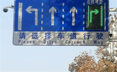 杭州市民骑非机动车出新规：等红灯过马路，也要按骑行方向分车道了 -今日生活-杭州网
