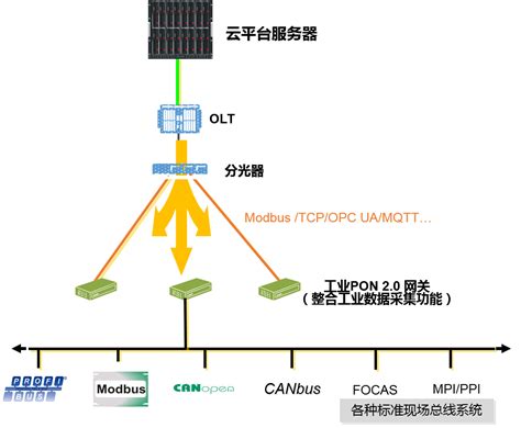 某大型公司PTN专线项目-上海而迈网络信息科技有限公司
