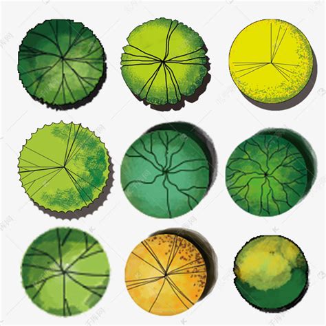 植物平面手绘设计素材图片免费下载-千库网