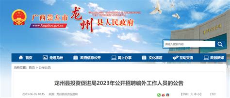 2023年广西崇左市龙州县投资促进局招聘公告（报名时间6月5日至9日）