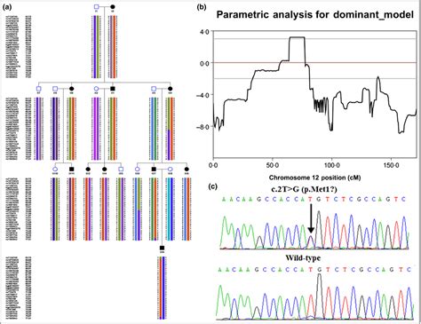 利用加权基因共表达网络分析方法挖掘香菇发育不同阶段的关键基因