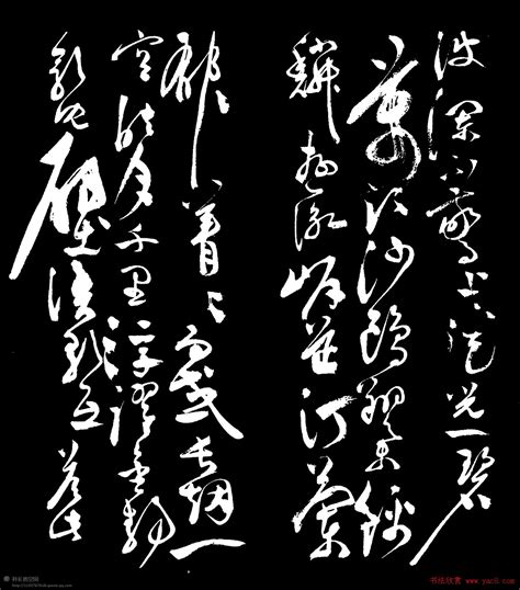 风草书图片
