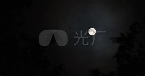 明月当空挂在树梢的月亮_4096X2160_高清视频素材下载(编号:6246880)_实拍视频_光厂(VJ师网) www.vjshi.com