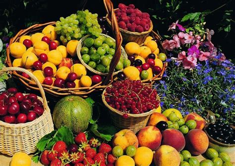 三亚热带水果大全（海南岛上的热带水果） | 说明书网