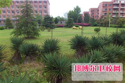 湖北省京山卫生学校全国排名如何（2009~2018）_邦博尔卫校网