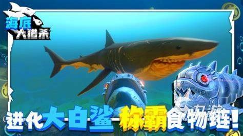 鲨鱼来了_鲨鱼来了安卓下载-小米游戏中心
