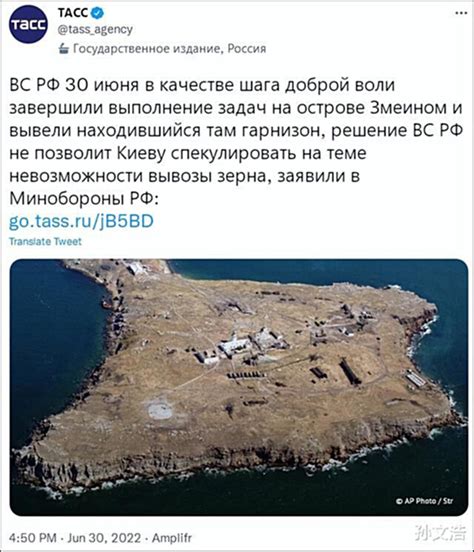 俄乌血战争夺的蛇岛，为何被俄罗斯突然放弃了？|蛇岛|俄罗斯|乌克兰_新浪新闻