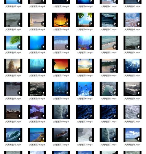 132款超清4K大海海浪风暴海鸥海边风景视频剪辑无水印通用短视频素材 - 神马创意网-高品质素材合集资源平台-优质素材网站