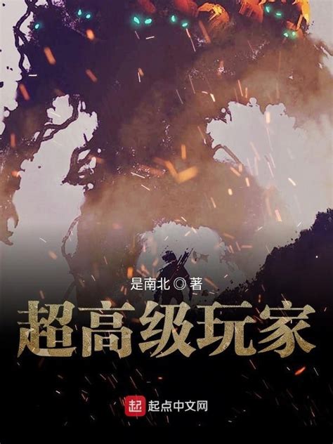 《超高级玩家》小说在线阅读-起点中文网