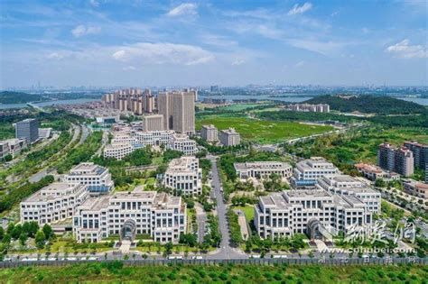 长城战略咨询助力东湖高新区发布“数字光谷”建设三年行动方案 - 长城战略咨询 北京市长城企业战略研究所