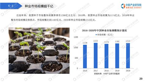 中国种业发展排行榜出炉！看看你所在省份处在什么位置？_河南省种子协会-官方网站