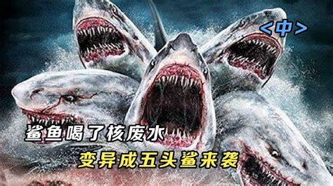 海底惊现五头大鲨鱼，海上游客频繁遭到攻击（上）_高清1080P在线观看平台_腾讯视频