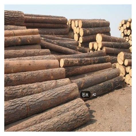 安徽杉木原木批发 杉木杆 杉木棍 木材加工 绿化树木支撑杆出售
