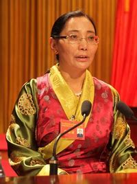 江措拉姆当选西藏自治区妇联主席[图/简历]--地方领导--人民网