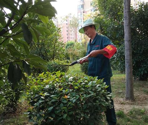 室外绿化养护 - 园区绿化养护 - 绿化养护 - 产品中心 - 深圳市天堡园林有限公司