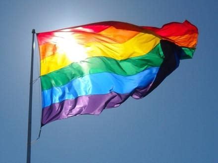 全美同性婚姻合法：与同性恋相关的英语表达