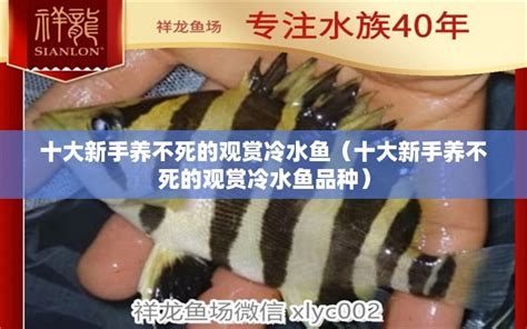 十大养不死的观赏鱼冷水鱼 中国斗鱼上榜，第三已有1700多年历史_排行榜123网