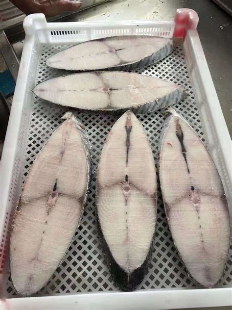 福建东山岛 马鲛鱼片 海鲅鱼 深海鱼 海鲜冷冻水产 食用农产品-阿里巴巴