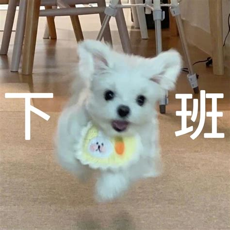 下班啦表情包图片