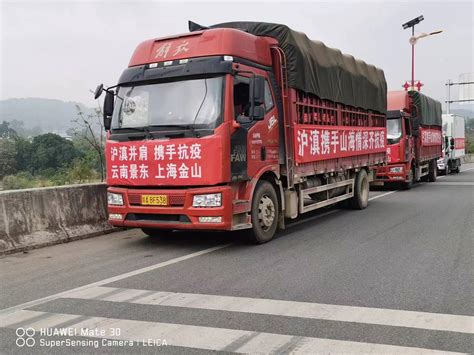 来自对口支援地区的回报，云南景东县携20余吨新鲜水果驰援金山