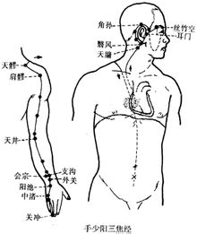 翳风穴位图图片