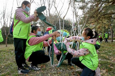 给小树穿冬衣，北京今冬首次大规模植树尽责_北京日报网