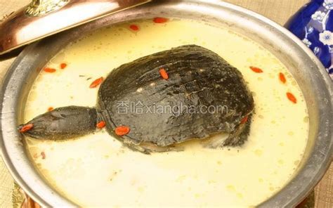 清炖甲鱼汤 - 清炖甲鱼汤做法、功效、食材 - 网上厨房