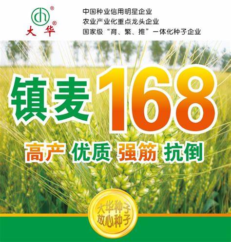 山东玉米种子品牌产量排名