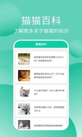 猫猫交流器app下载-猫猫交流器最新版下载v3.3.4 安卓版-旋风软件园
