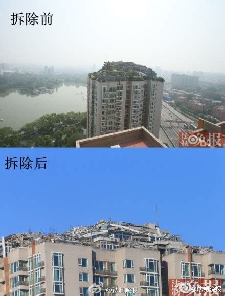 北京“最牛”违建拆除近一年后楼顶现一排树-搜狐新闻