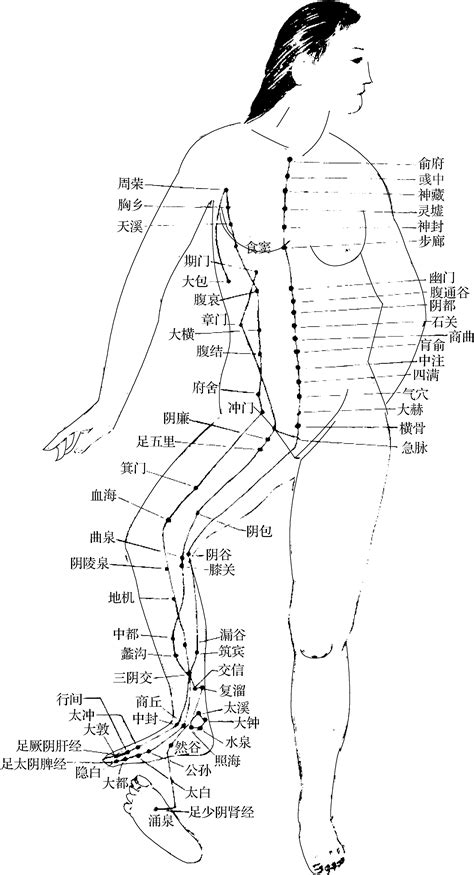 中医把脉，把的究竟是经脉，还是动脉血管？ - 知乎