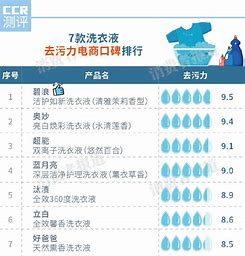 中国洗衣液排名前十名 的图像结果
