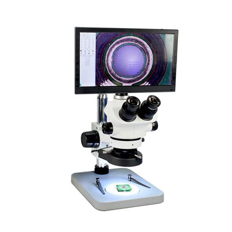 生物显微镜的简单分类-仪器知识-天津微仪光学仪器有限公司