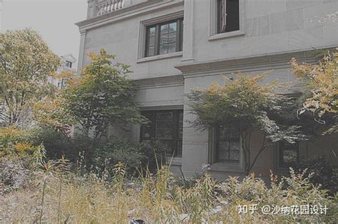 打造绿意盎然的阳台花园 -漯河日报晚报版