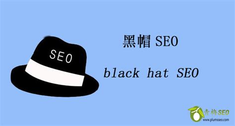 黑帽SEO技术-[免费分享 ]黑帽SEO优化教程-「青梅SEO博客」