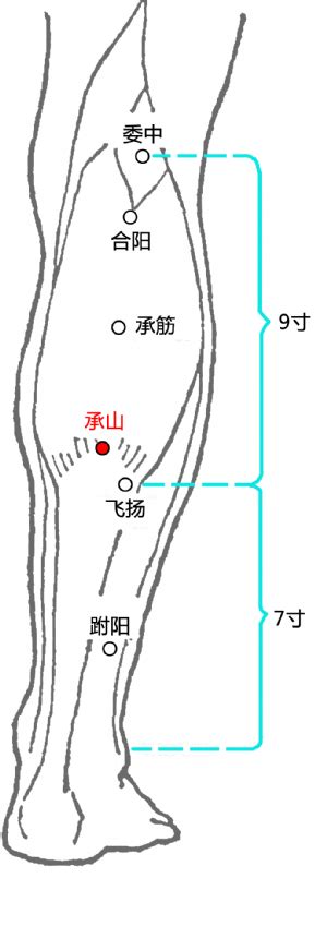 承山的准确位置图图片