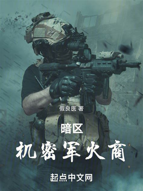 《暗区：机密军火商》小说在线阅读-起点中文网
