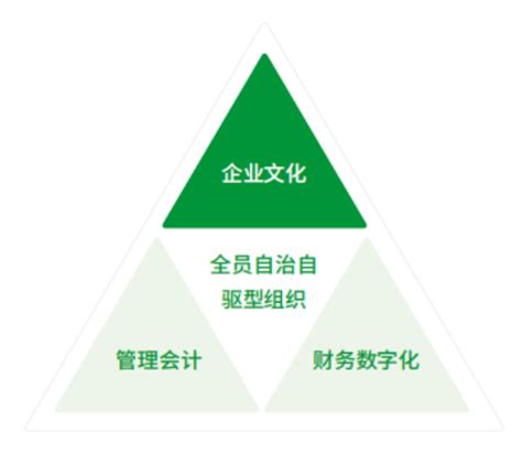 三棵树发布2022年度环境、社会与公司治理报告书-中国质量新闻网