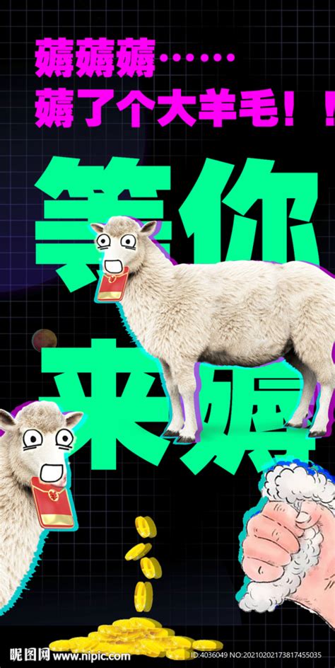 薅羊毛图片