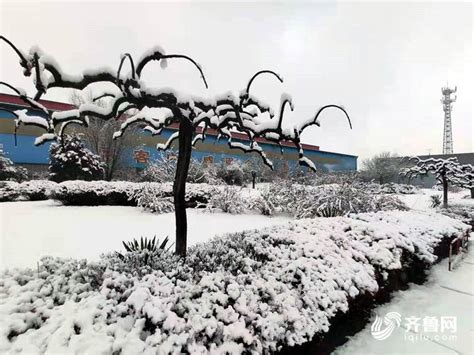 山东多地降雪 淄博潍坊日照现暴雪 - 封面新闻