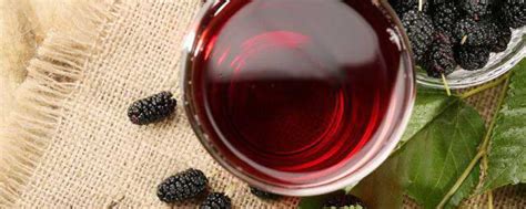 桑叶红枣茶的功效与作用 桑叶红枣茶的功效有哪些_知秀网