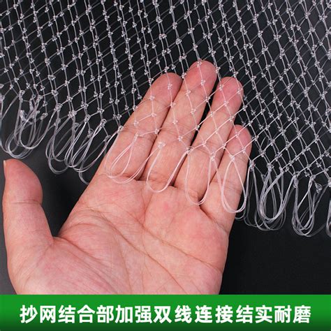 网头图片