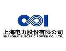 中国南方电网logo标志设计图片素材免费下载 - 觅知网