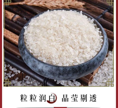 华润 五丰 东北大米 圆米 优选东北珍珠米5kg新米 批发 一件包邮-阿里巴巴