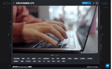pickfree.cn，整合了大量无版权素材网站，涵盖图片/音视频等内容！ - 小高教学网