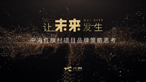 201中海上海普陀区超级城市再开发项目推广提报方案【pdf】 - 房课堂