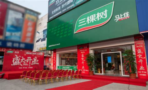 三棵树中国最大门店开业 占地1000平方米打造一站式服务|棵树|中国-企业资讯-川北在线